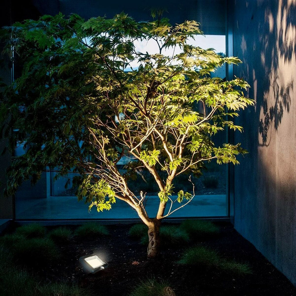 V5H7A9971C3B10698DAB7C39B05A1E7990AR4004060P10